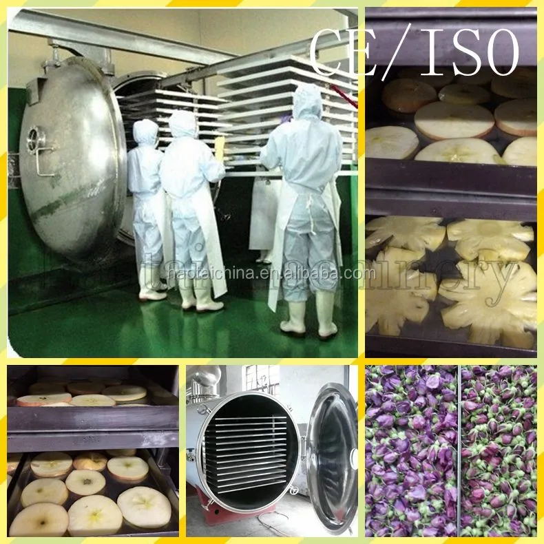 Home Freeze Drying Machine