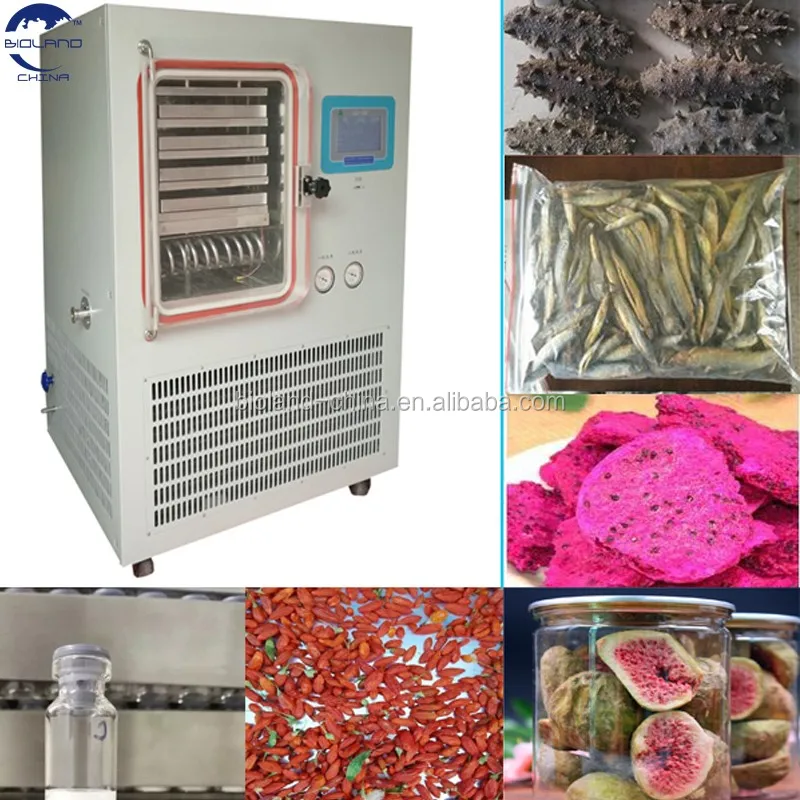 Middlecapacity Food Processing Freeze Dryer Machine/lyophilizer/freeze