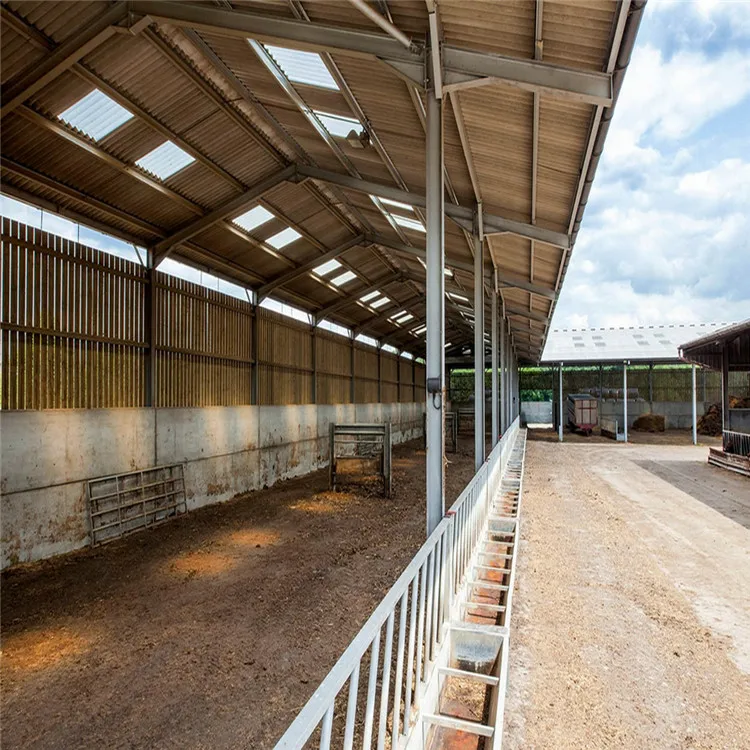 Prefab Steel Structure Dairy Cow Shed Farm Livestock House Buy