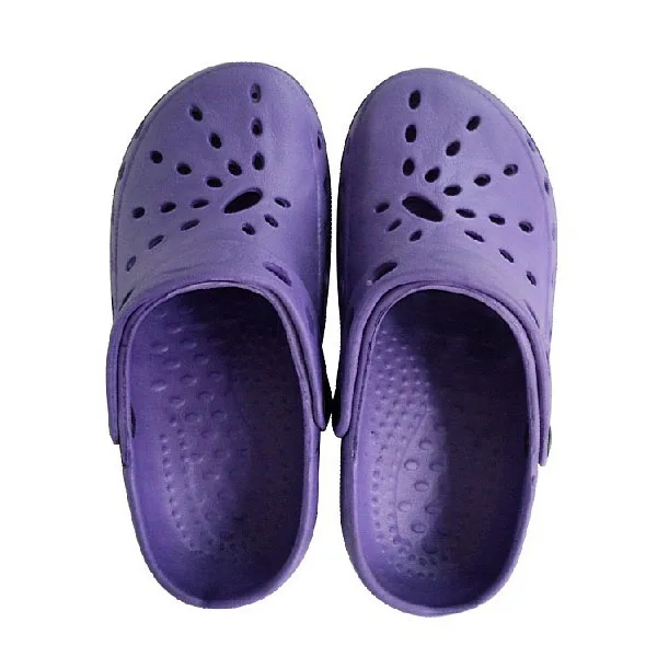 HG19029 Purple.jpg