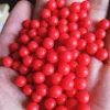 6.35mm 14mm PP solid red plastic balls