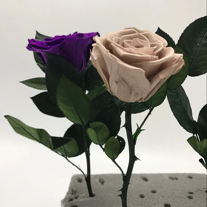 Wholesale Preserved Flower Real Stabilized Roses Beautiful Preserved