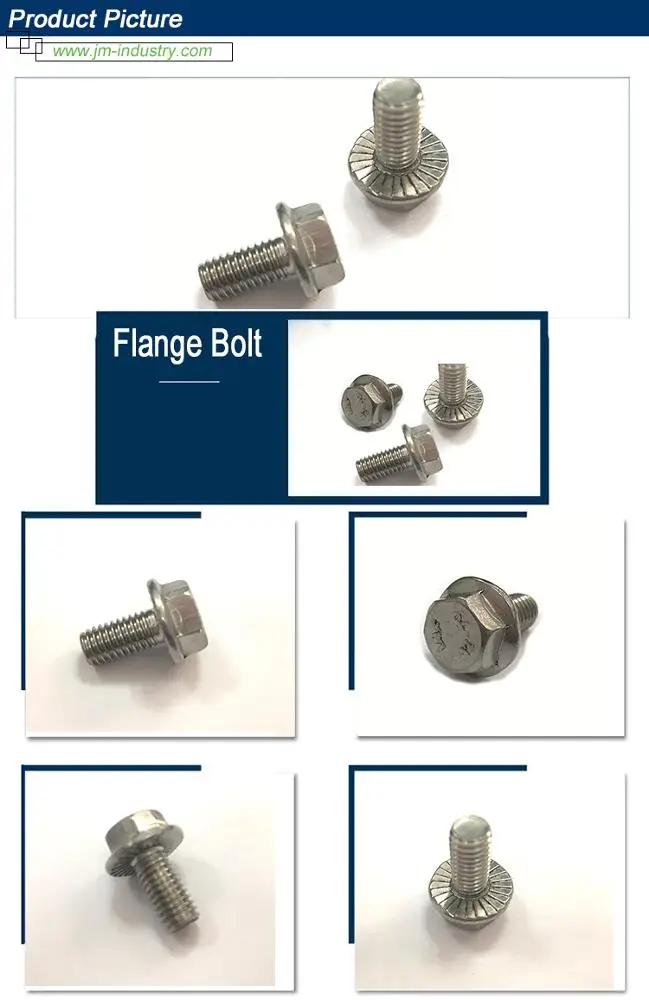 SS  flange bolt