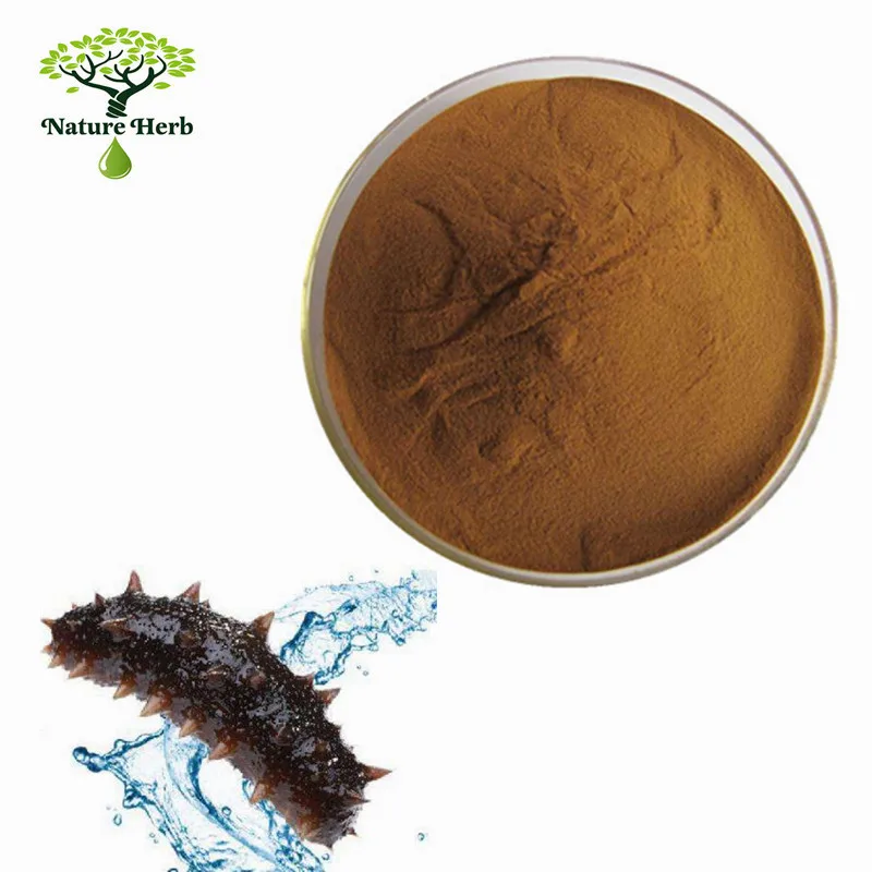 Supply Best Dried Sea Cucumber Extract Powder Buy Sea Cucumber