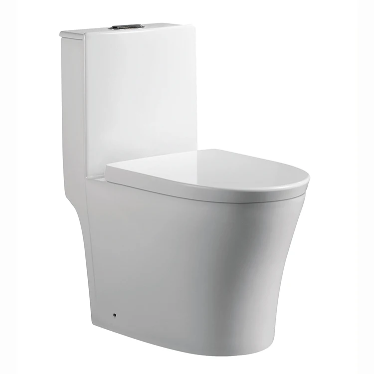 Oem One Piece Floor Mounted Italian Toilet Buy Italian Toilet,Floor