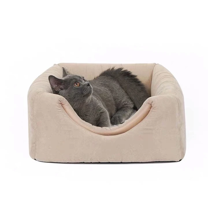buy cat bed