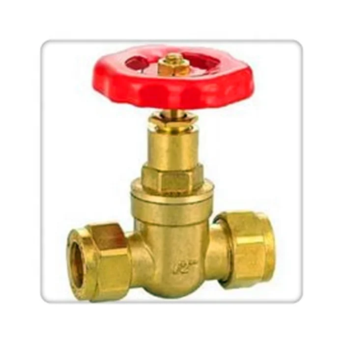 Din Standard Gs C25 Plug Disc/swivel Type Disc Full Bore Globe Valve