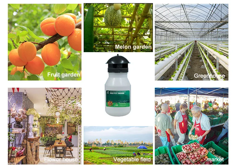 Insect trap application.jpg