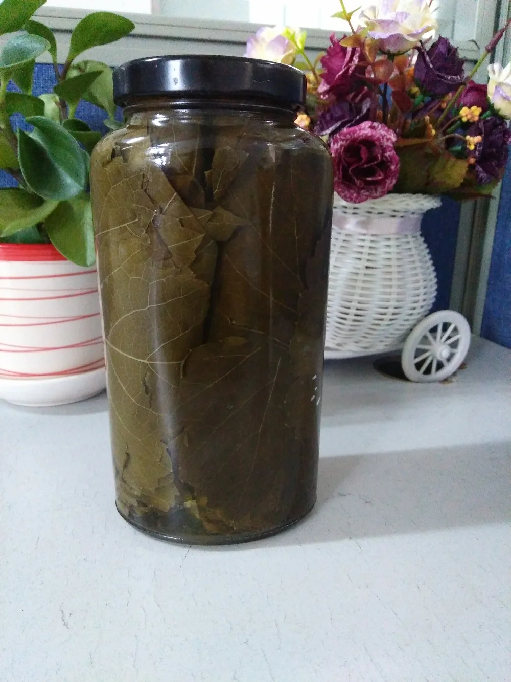 Canned Grape Leaves Buy Grape Leaves,Canned Grape Leaves