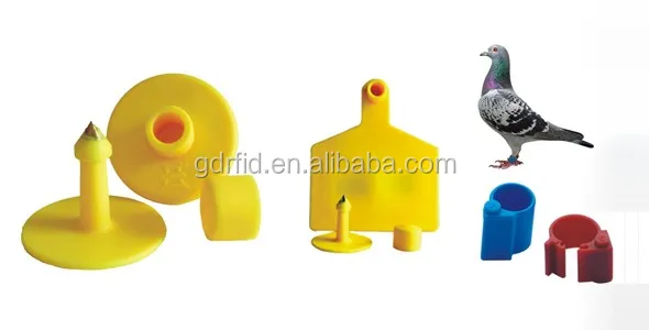 rfid ear tag (7).jpg