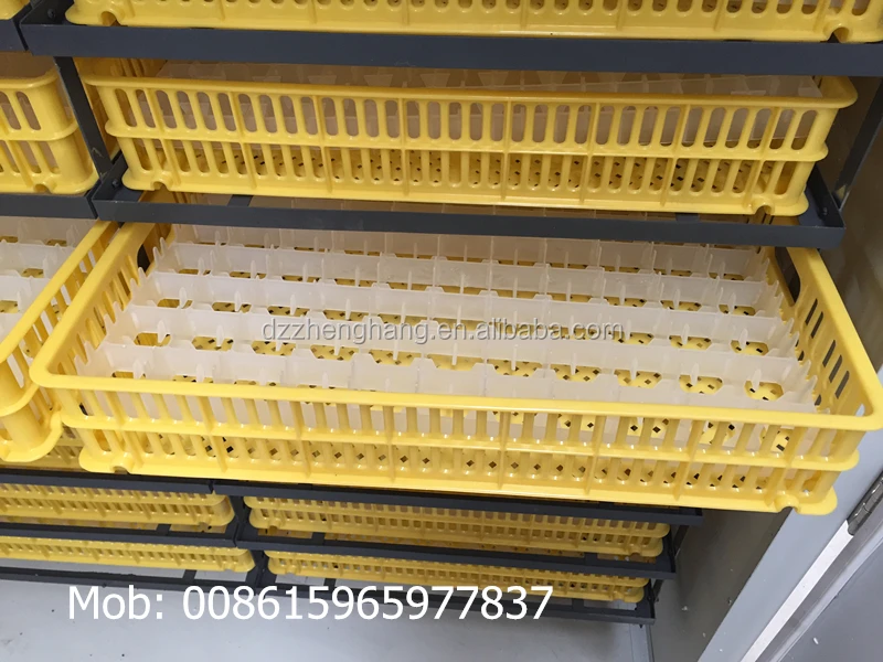 Zh-1584 Eggs Incubator,Best Quality 1584 Chicken Egg ...