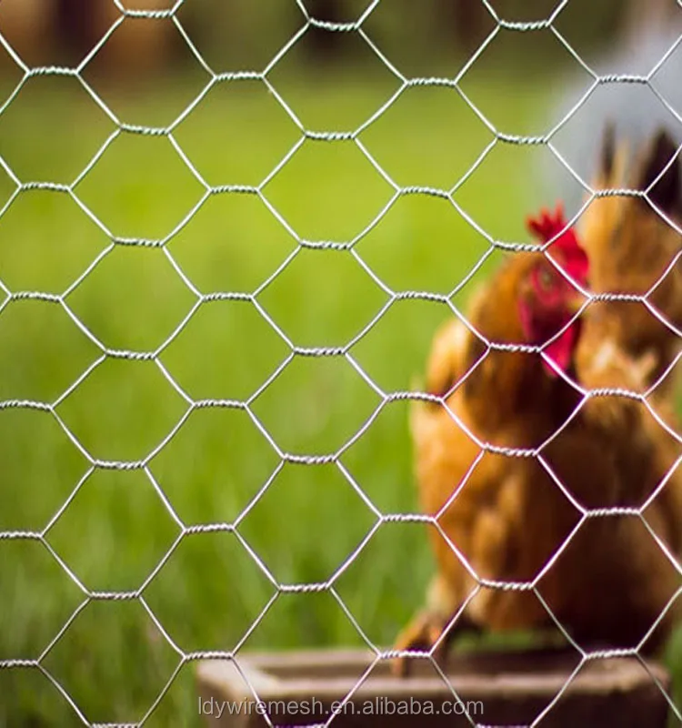 chicken wire mesh philippines/ coc chicken wire factory supplier