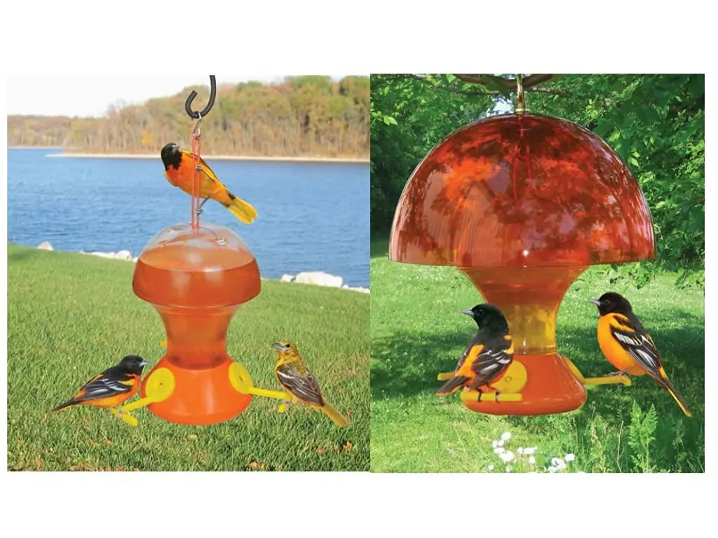 Buy Songbird Essentials Serubfjf Fruit And Jelly Oriole Feeder