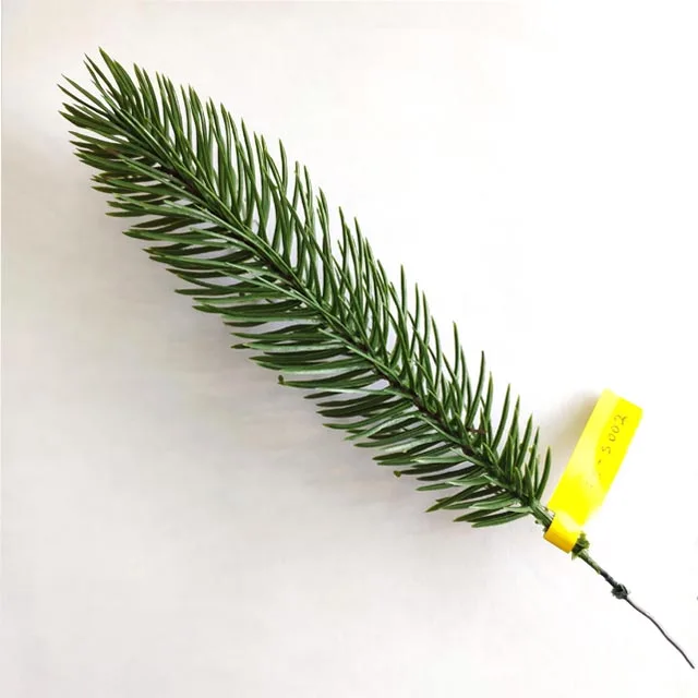 Artificial Pe Christmas Tree Leaves Christmas Pine Tree Branches Buy
