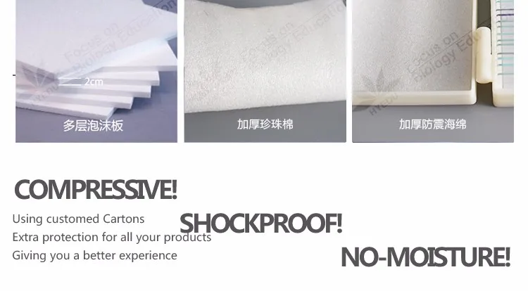 1For university medical teaching 42pcs set parasitology microscope slides (28)