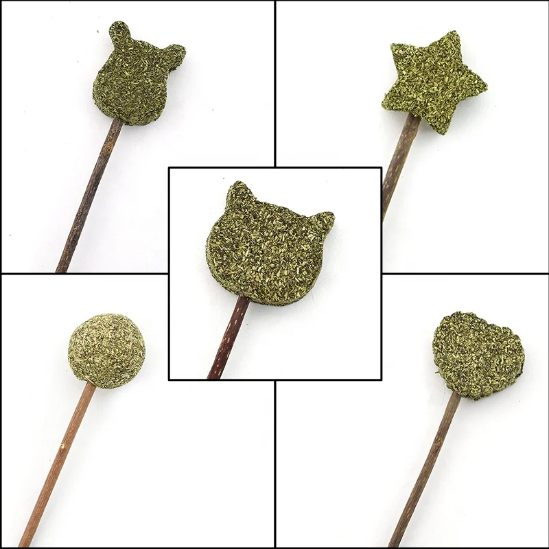 cat mint sticks