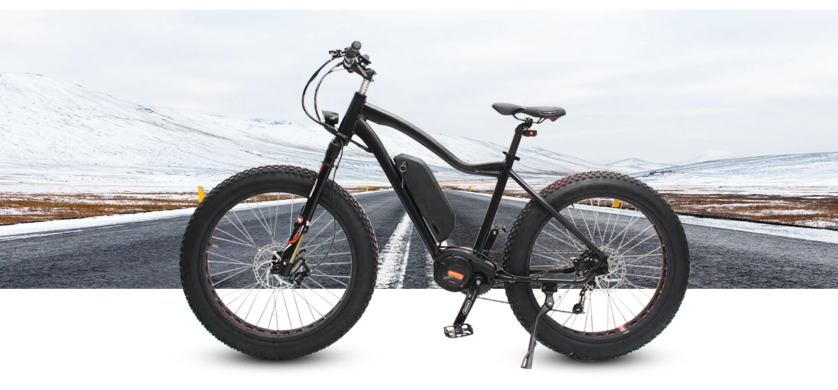 risunmotor ebike store