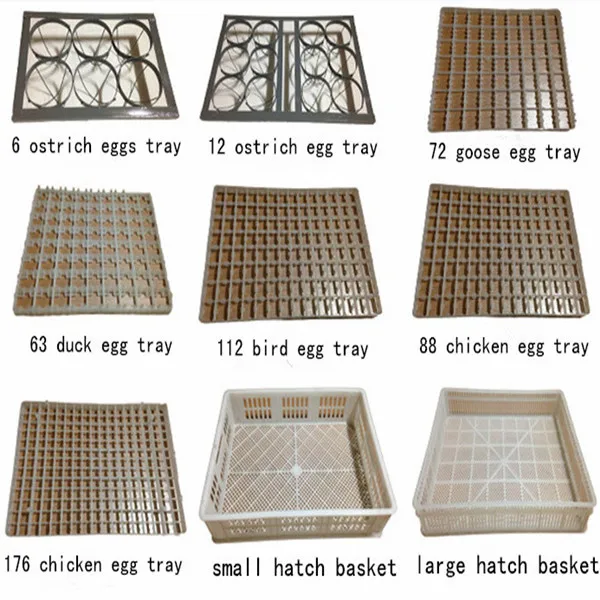 Egg tray.jpg