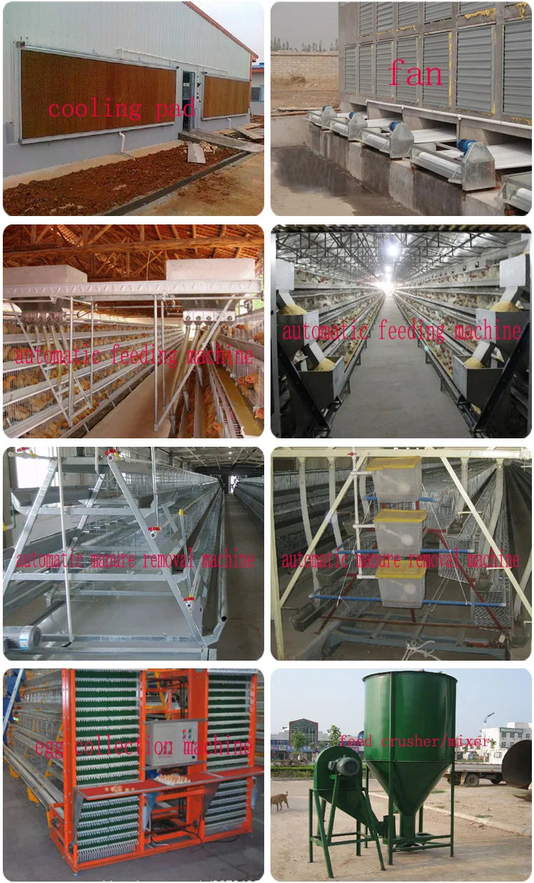 Hot Galvanized Chicken Poultry Cages Cold Galvanized Chicken Layer Cage Best Quality For Sale Nigeria Africa