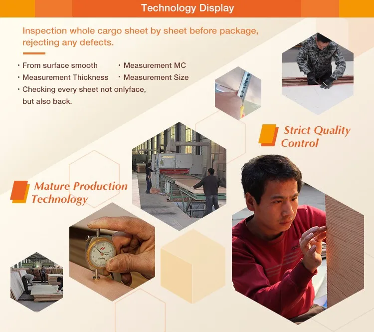 6Technology Display.jpg