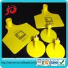 Hot selling numbering sheep with factory price
