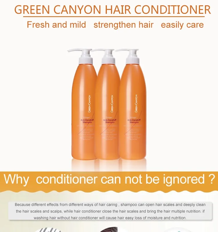 Moroccan Oil Organic Ingredient Hair Conditioner Not Hurt Hair Root