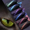 Best Seller 3D Pearl Light Magic Mirror Gel Polish Nail Glitter Magnetic Pigment Dust Cat Eye Powder
