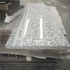 Grey China Natural Granite G602 Outdoor Stairs Including Riser and Step Tread