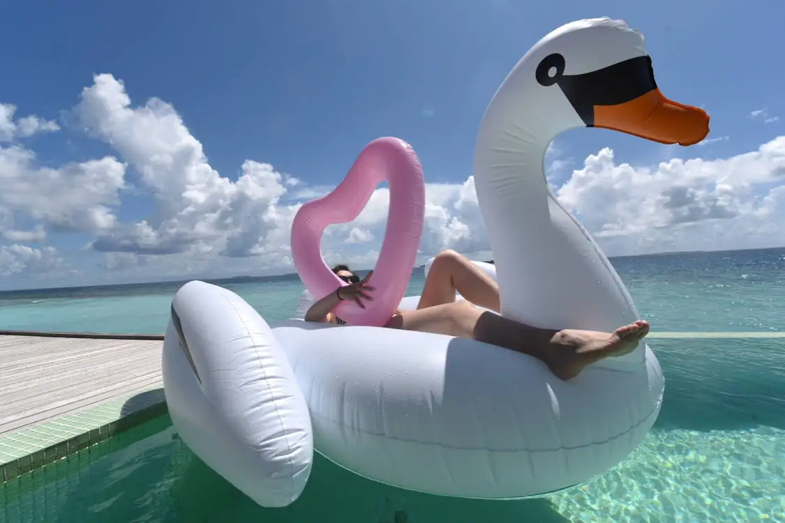 swan water float
