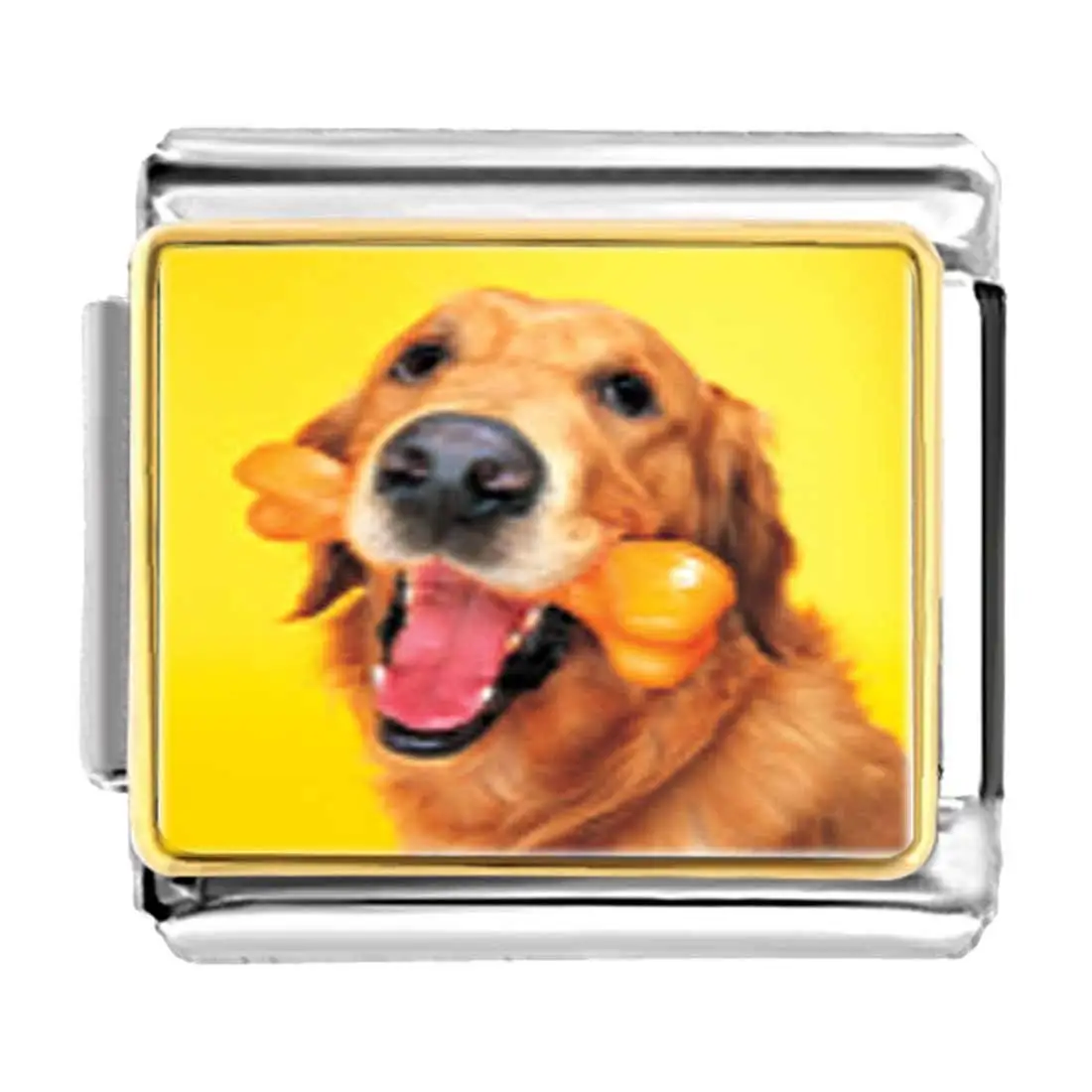 GiftJewelryShop Gold Plated Golden Retriever Dog Photo Stud Earrings 12mm Diameter