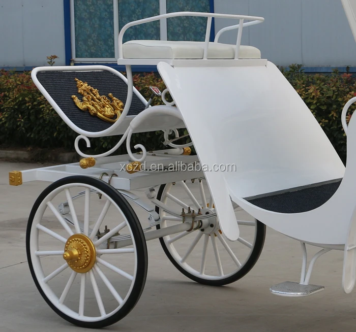 Tourist sightseeing horse carriage Victorian horse carriages .jpg