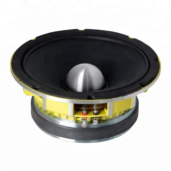 loudest 10 inch midrange speakers