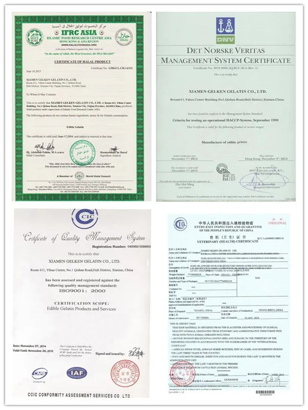 Top Gelatin Factory Food Grade Gel Strength 240 Bloom Gelatin Buy 240