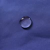 Free sample 320d wet wicking coated polyester taslan fabric for beach shorts