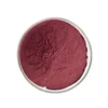 Factory supply Anti-cancer to prevent neural aging, enhance heart function Blueberry Extract Bilberry Extract 5:1 10:1 20:1