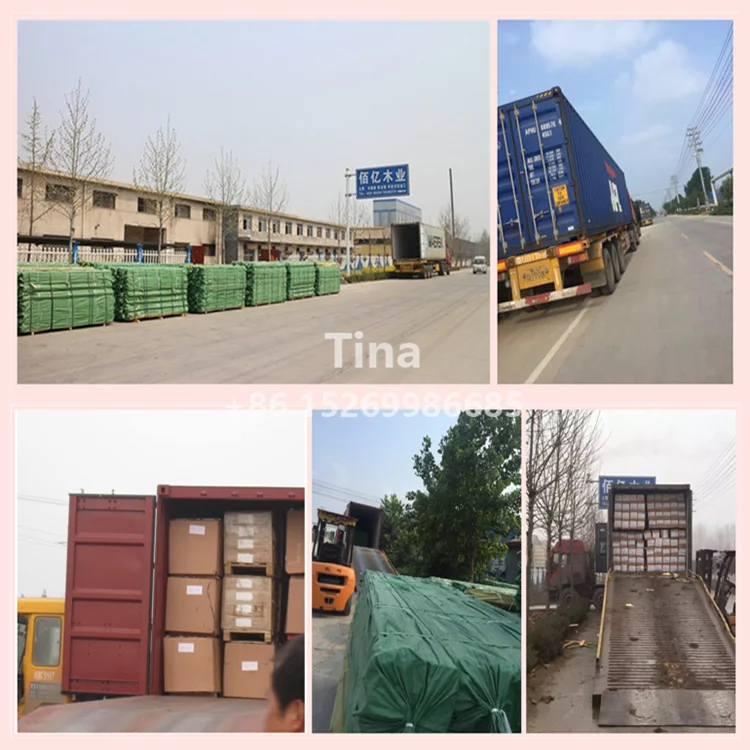 Engineered door frame moulding wood molding