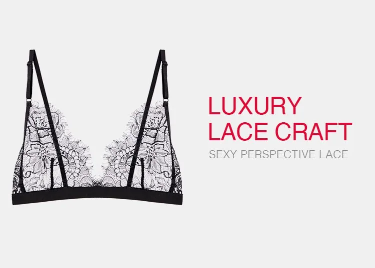 Lingerie Manufacturers Beauty Sexy Bra & Panties Transparent Lace Bra