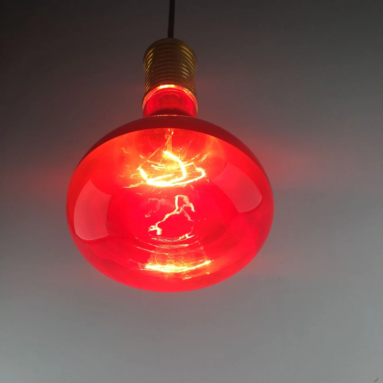 r125 原装红色灯泡红外热灯泡,用于爬行动物 250 w e27 加热灯泡