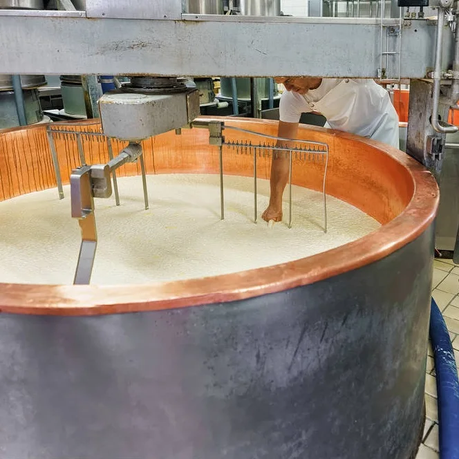 Mini Cottage Cheese Yogurt Ice Cream Production Plant Buy Peanut