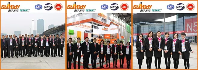 Construction Chemical Additive to Self leveling Compounds Polymer Binder