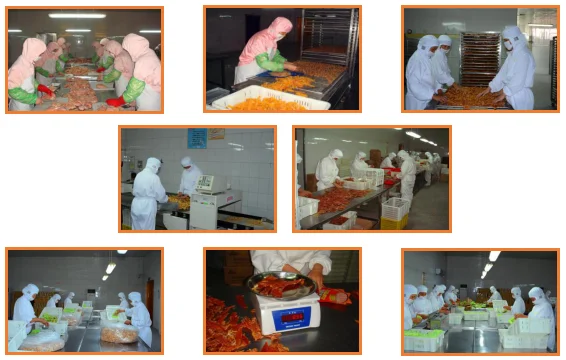 rawhide and duck meat fillet dog treat pet snack