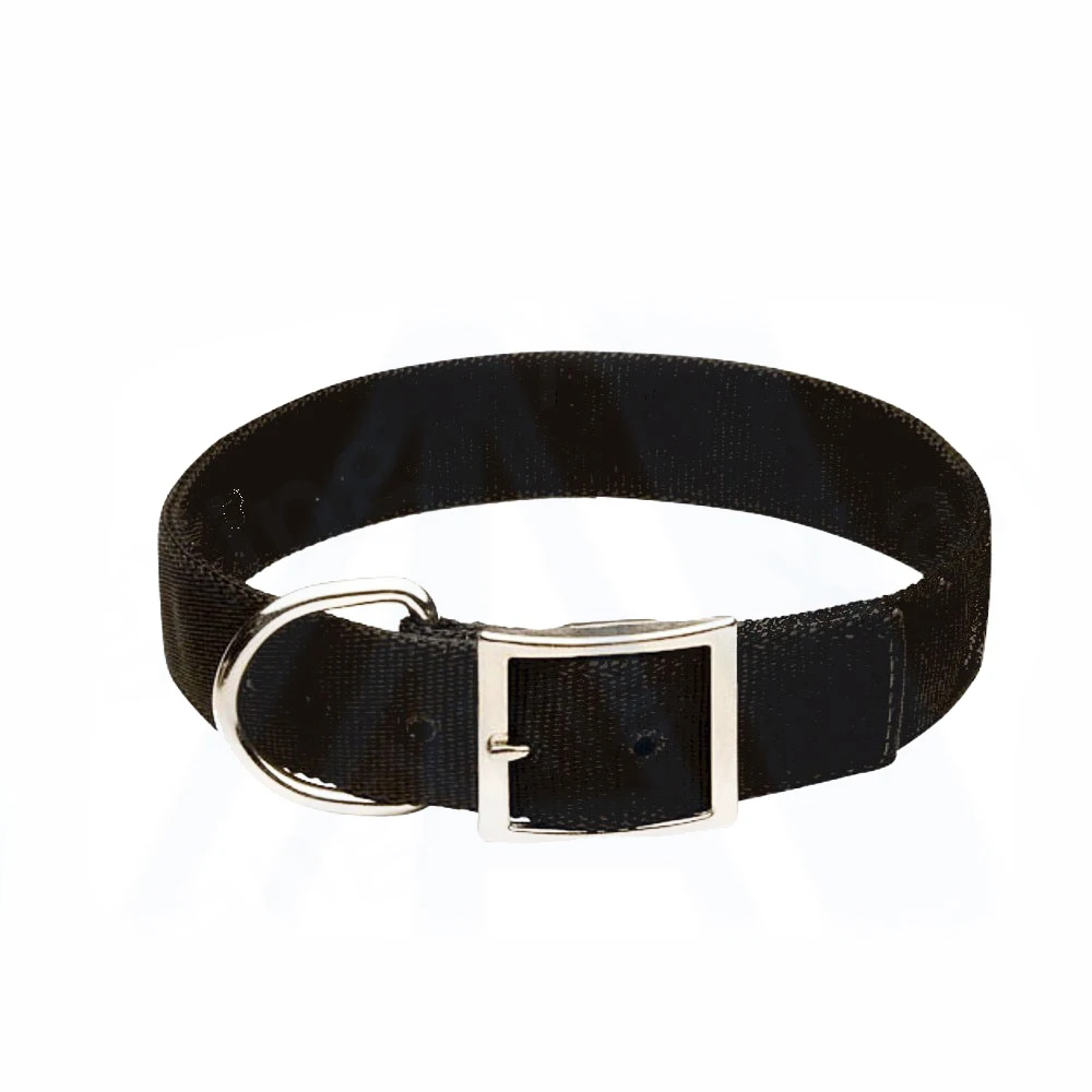 dog collars with buckle fastening