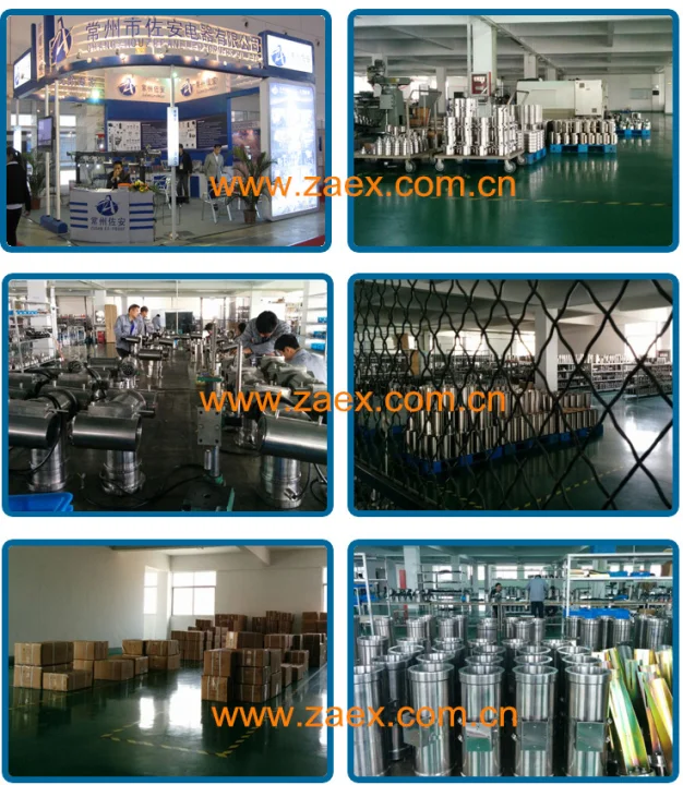 paste-pic-dp_uuid_pw19k