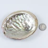 Natural Craft Sea Raw Abalone Shell For DIY Home Decoration
