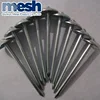 china nails manufacture top quality bright polished common nail common wire nail
