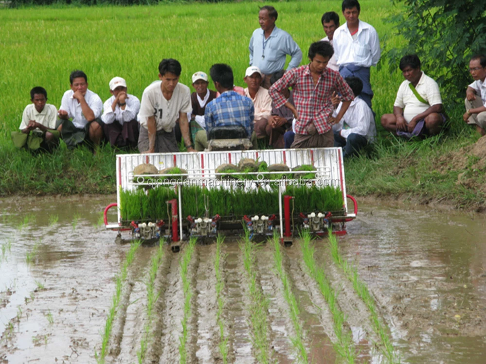Source 10 rows paddy rice planter on m.alibaba.com