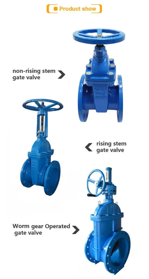 Bs Gate Valve Pn16 Resilient Seated 4