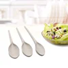 Wholesale Hot Selling Flatware Rice Husk Fiber 3 Pieces Salad Spoon Set