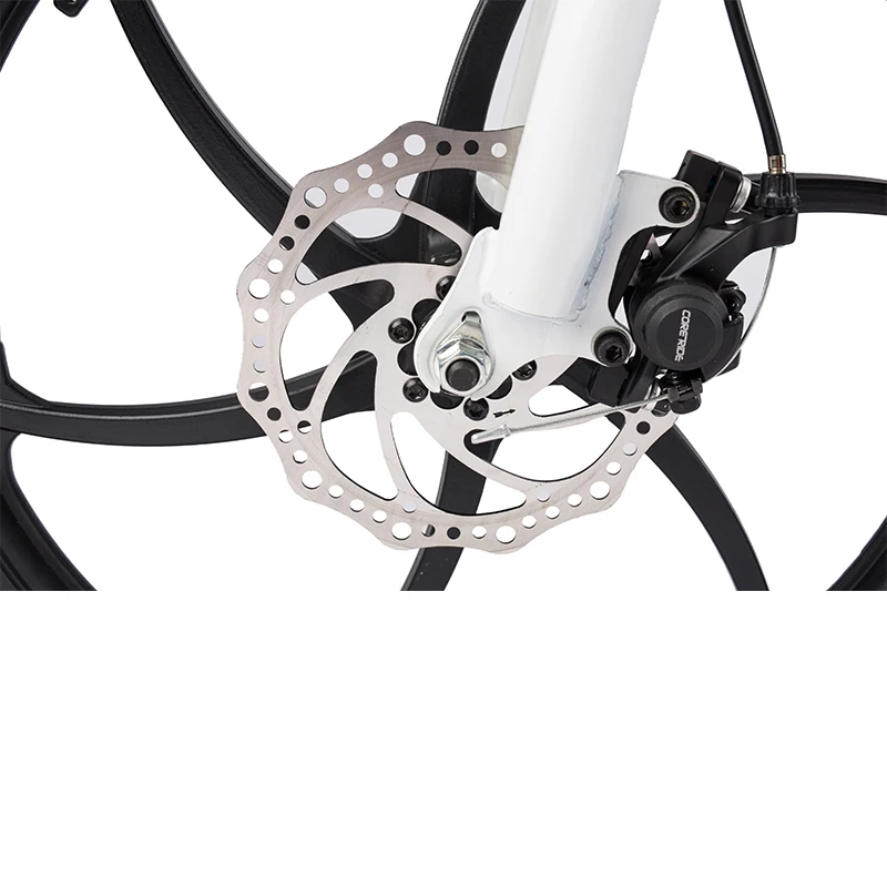 20inch Aluminum alloy frame folding electric bicycle 36V 250W electric foldable bike