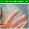 agriculture polythene greenhouse cover/polyethylene green house film cover/clear roofing cover film for greenhouse